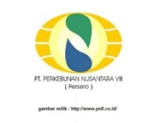 Perkebunan Nusantara VIII, PT.